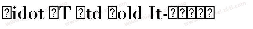 Didot LT Std Bold It字体转换